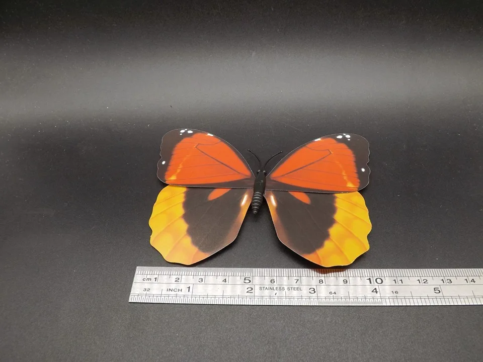I227-Butterfly (9)