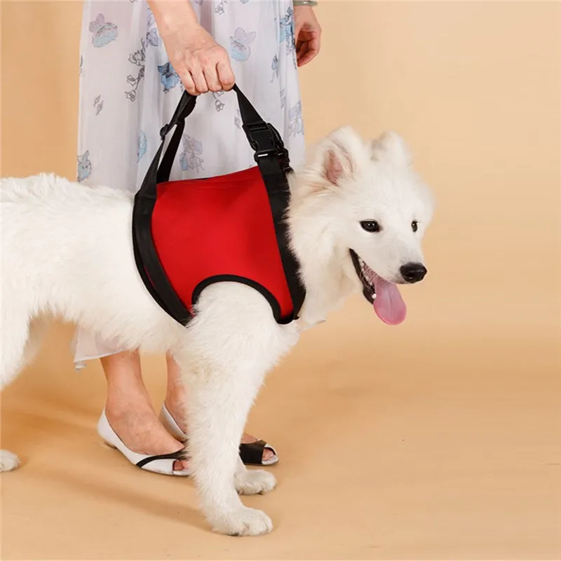 dog walk out hand strap dog leg lift support harness vest assist dogs