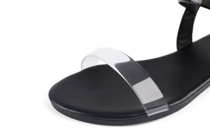 HEMA6509