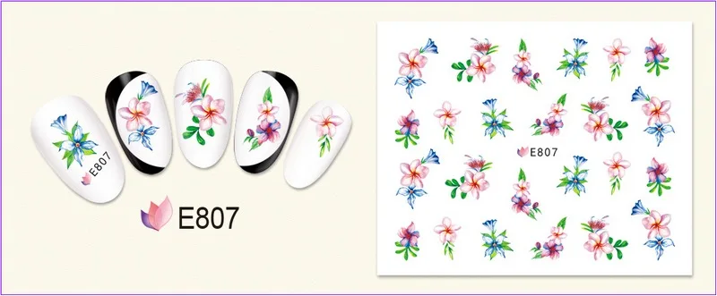 E807