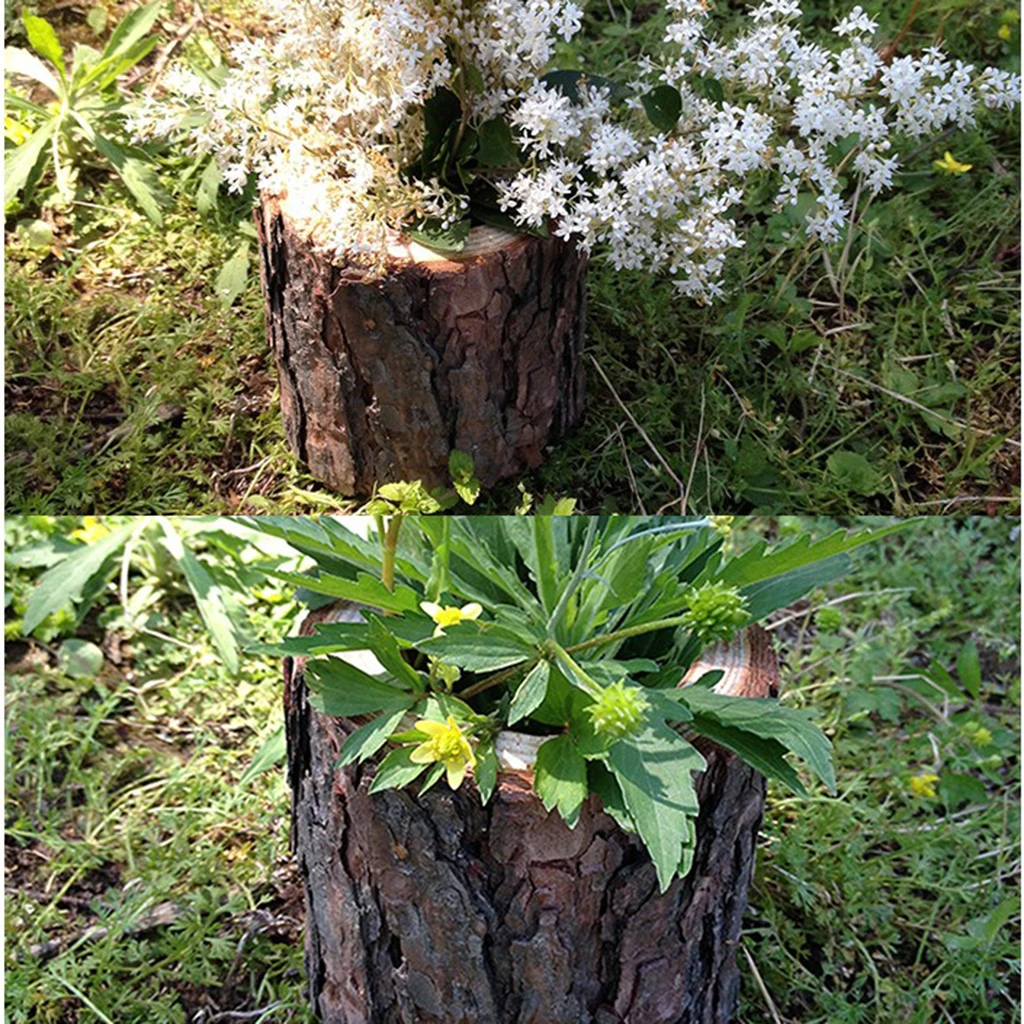 Natural Tree Stump Wooden Candle Holder Tea Light for Romantic Candlelight Dinner Bonsai Plants Flowerpot Container Decor