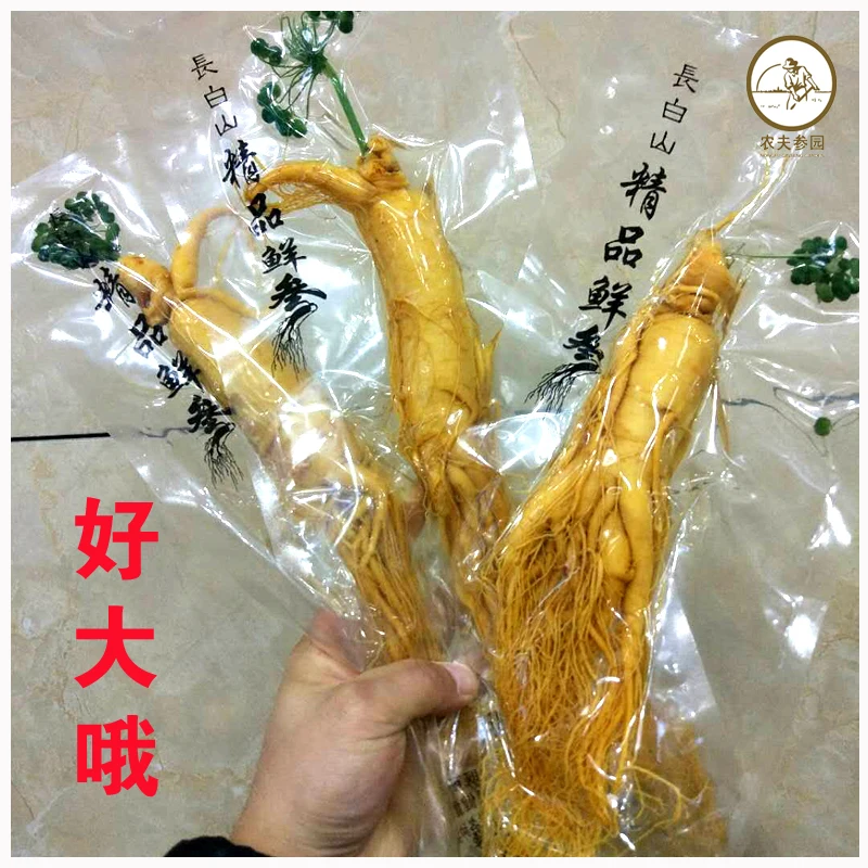 

Chang bai Fresh Ginseng Root 300g top Grade Vacuum Pack Panax ginseng Root 8 Years Old Herbal skin care beauty use