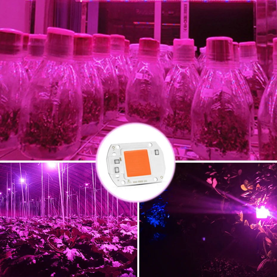 LED-Grow-Chip-20W-30W-50W-COB-Led-Grow-Light-Full-Spectrum-Fitolampy-Phyto-Lamp