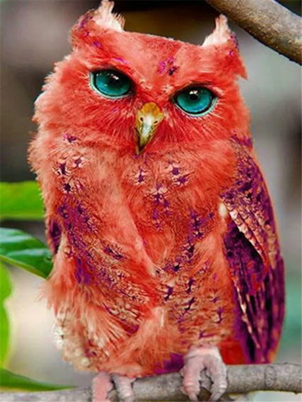 

Diamond Embroidery Owl Sets for embroidery Diy animals diamond painting Mosaic square diamond crystals Rhinestones picture icon