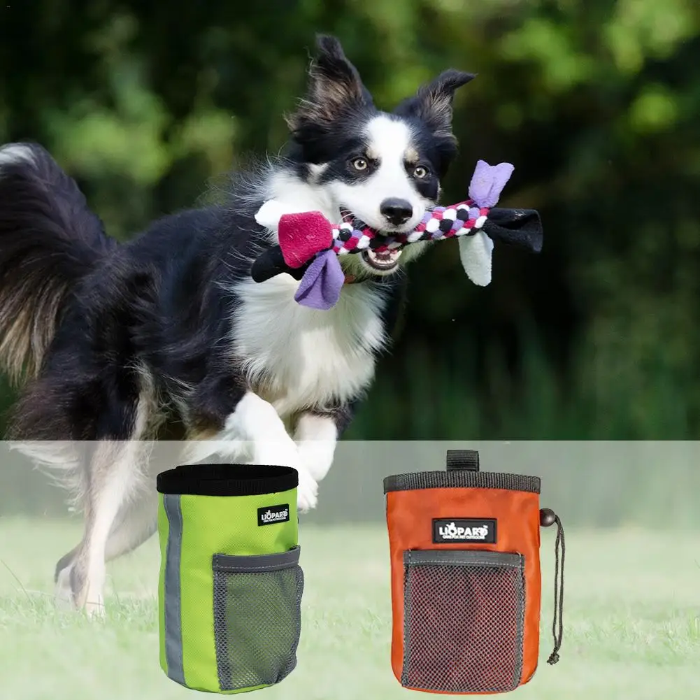 Pet Snack Bucket Package Pet Training Bag Multi function Portable Dog