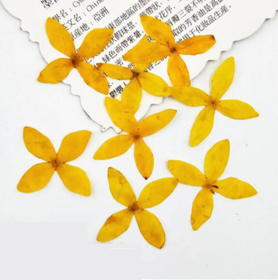 (HSWL)-yellow
