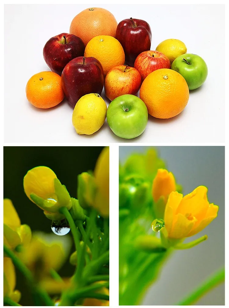 ty_close_up+8_a4