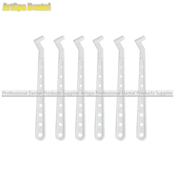 

100 Pcs Dental Disposable Composite Brush Tips with 2 Brush Handles