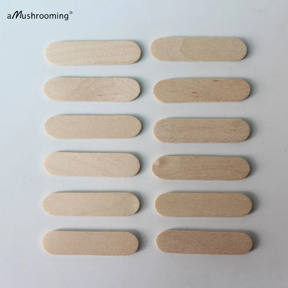 Ice Cream Sticks Disposal Lollipop Sticks 100 Plain Wooden Sticks 1.6 Inches Small Lollipop Sticks Disposable Pudding Ice Cream Cake Dessert Spoons Pop