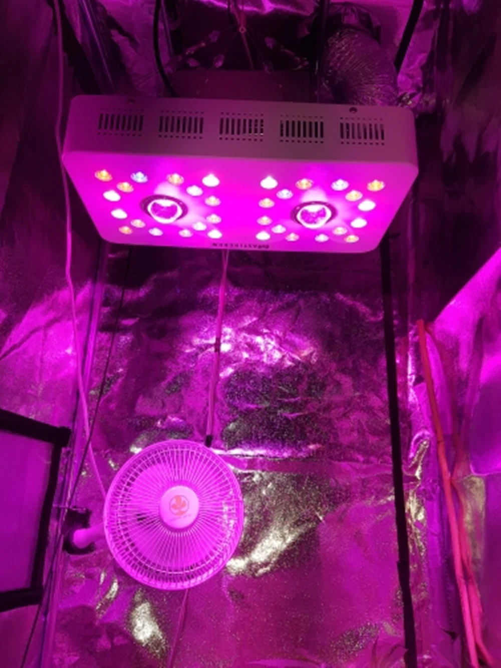 Полный спектр 600/900/1000/1200/1500/1800/3600W COB светодиодный Grow светильник 410-730nm для комнатных растений и цветок парниковых расти палатку