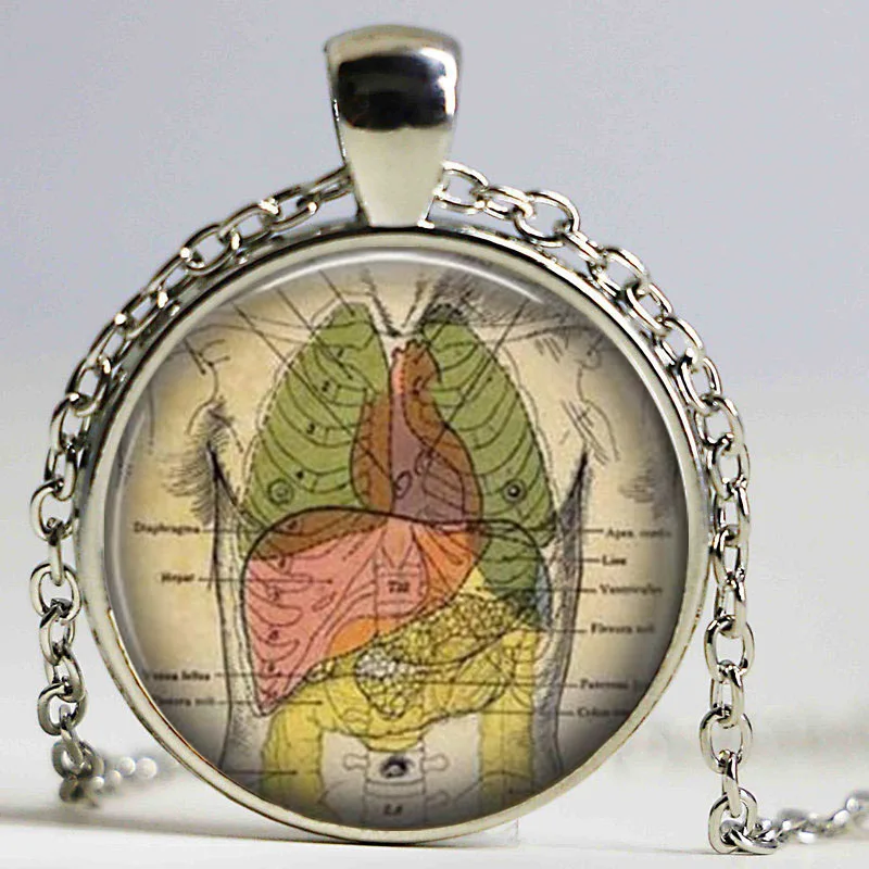 Human anatomy pendant internal organs anatomy necklace Anatomical necklace doctor nurse gift
