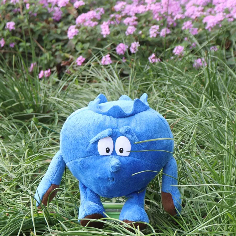 blueberry plush toy