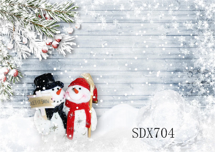 SDX704