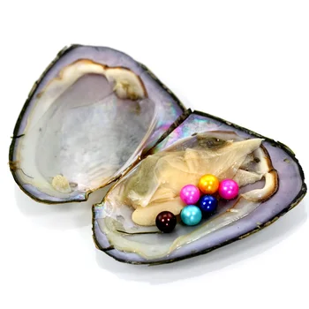 

Beautiful 3pcs 6-8mm Dyed Variety Color Freshwater Round 6 Pearls Oysters Individually Vacuum Pack Fashion Jewelry FR044