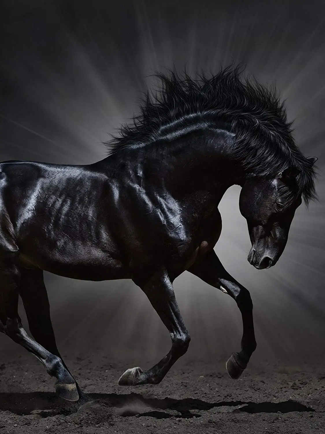 Running Horse Photography Background Animals Backdrop Studio Props Wall 5x7ft Bedroom Background Photo Running Horse Photography Background Animals Backdrop Studio Props Wall 5x7ft Bedroom Background Photo