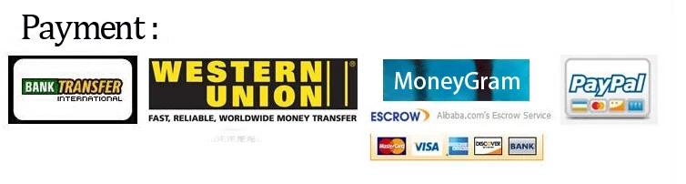 payment1