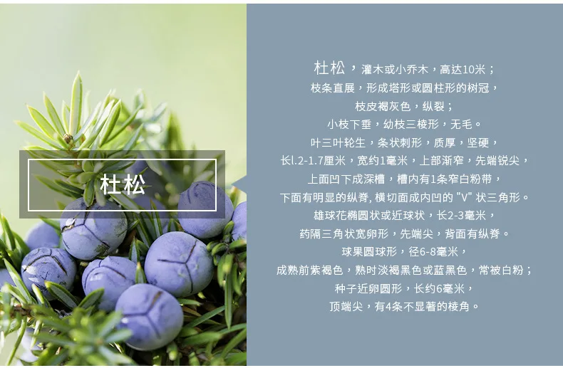 杜松产品信息.jpg
