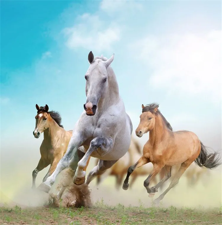 

2018 new DIY full cube drill Diamond 5D Diamond painting running horse Embroidery Cross Stitch Rhinestone mosaic cross sttitch