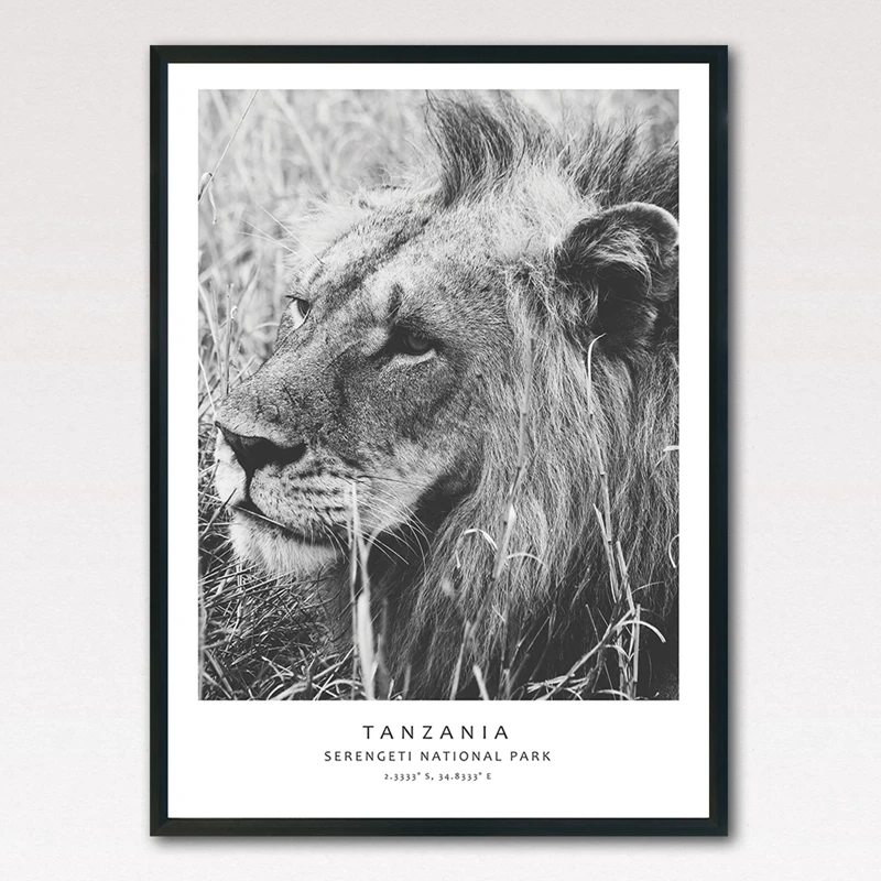 leopard canvas prints home decor