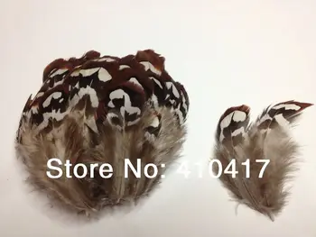

Free Shipping 500pcs Natural Pheasant Plumage Feathers DIY Jewelry Making