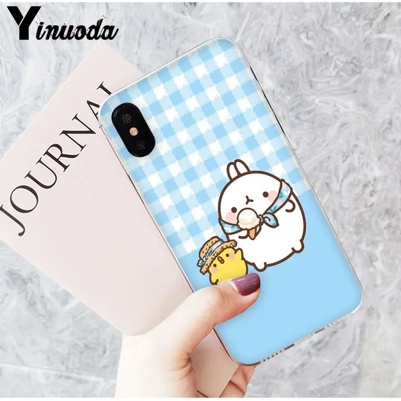 Funny and cute cartoon rabbit