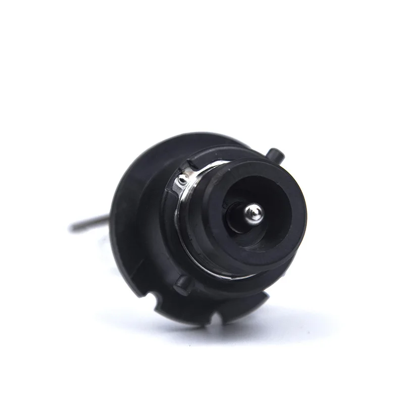 D4 bulb 5