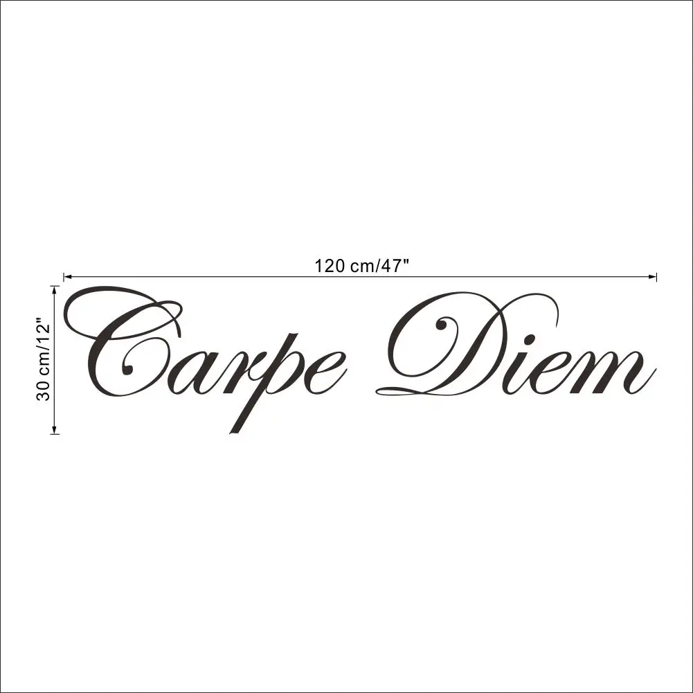 Образовательная Настенная ПВХ наклейка Carpe Diem латинские цитаты художественная