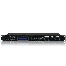 Профессиональные предэффекты DSP9000 K800 Профессиональный возбудитель KTV караоке микрофон эффект реверберации