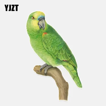 

YJZT 9.3*14.9CM Unique Green Parrot In PVC Colored Decor Car Sticker Personalized High Quality 11A0121
