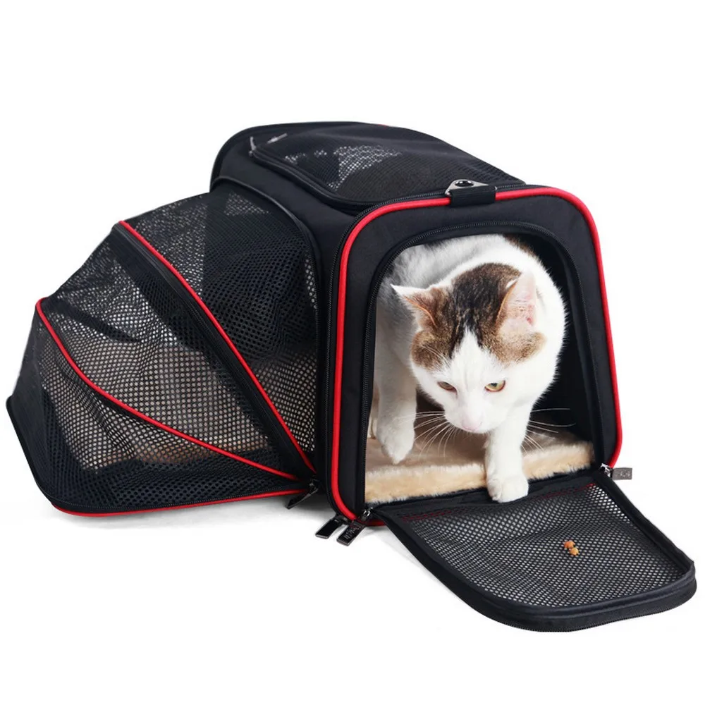 SHCKE Soft-Sided Pet Travel Carrier Airline Approved Dog Cat Carrier for  Medium Puppy and Cats