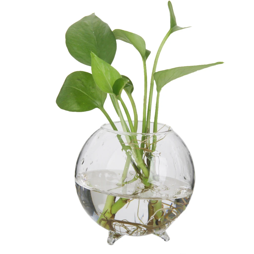 

6pcs Home Decorative Ball Shape Clear Glass Display Vases Fish Bowl Air Plants Hydroponic Pot Terrarium DIY Micro Landscape Tool