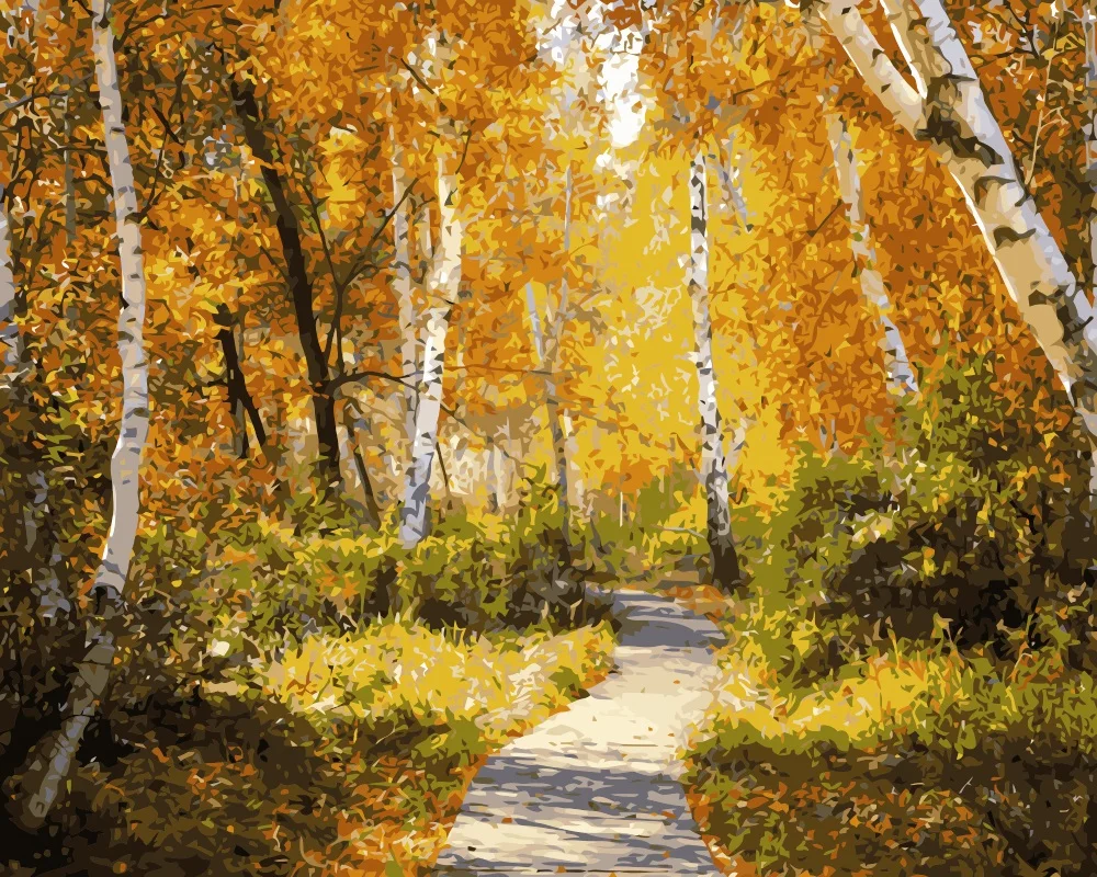 i245_vectorized_vectorized