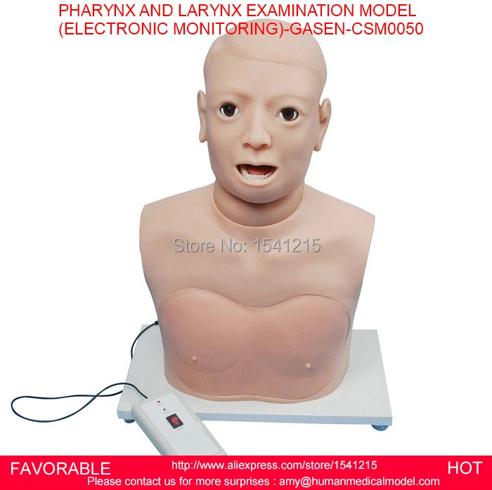 

MANIKINS TRAINING SIMULATORS MANIKIN HEAD MSIMULATORS PHARYNX AND LARYNX EXAMINATION MODEL ELECTRONIC MONITORING-GASEN-CSM0050