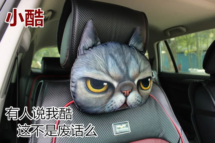 2869523010_1186164819