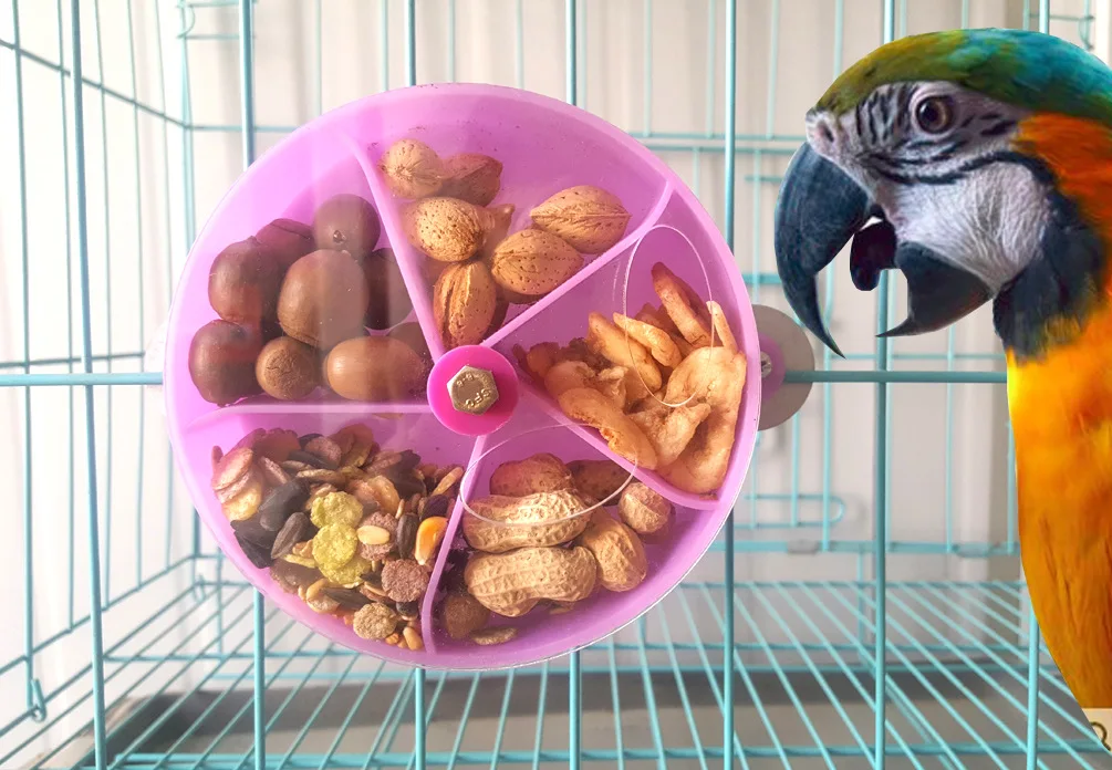 Забавный тип колеса попугай кормушка игрушка, которую можно грызть в поисках еды коробка чаша птицы feders поставщиков