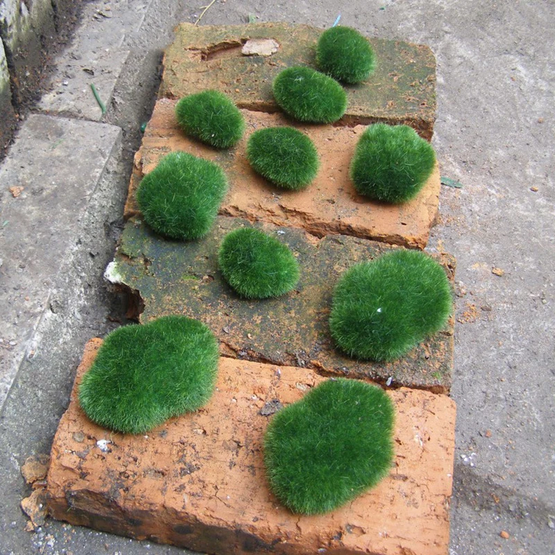 Plastic Artificial Moss Stones Grass Green Plant Home Mini Landscape