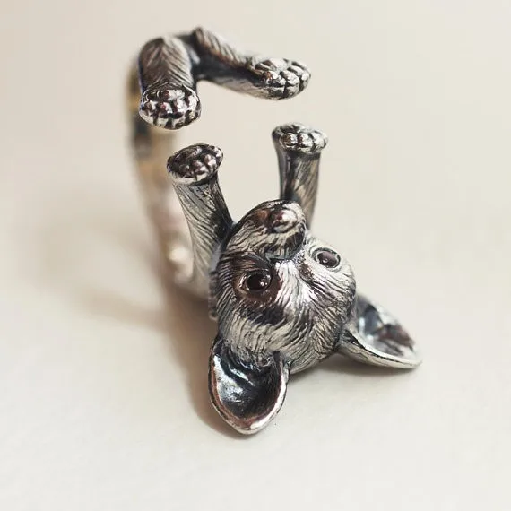 Chihuahua3