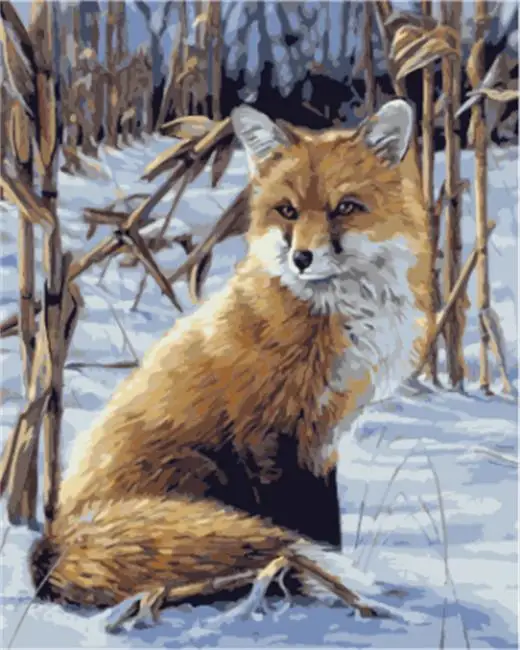 

DRAWJOY Fox Framed DIY Oil Paint DIY Painting By Numbers On Canvas Coloring By Numbers For Home Decor