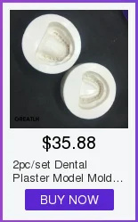 dental com dentes modelo padrão removíveis 4004 01 estudo dental ensine teeth modelo 31 Modelo padrão dental com dentes removíveis #4004