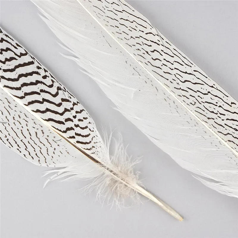 natural-silver-pheasant-feather-tail-sp25--n-alt4