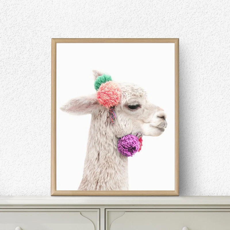Baby Alpaca Canvas Prints