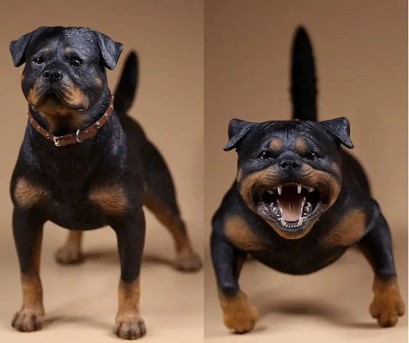 Online kopen Wholesale rottweiler hond speelgoed uit China rottweiler