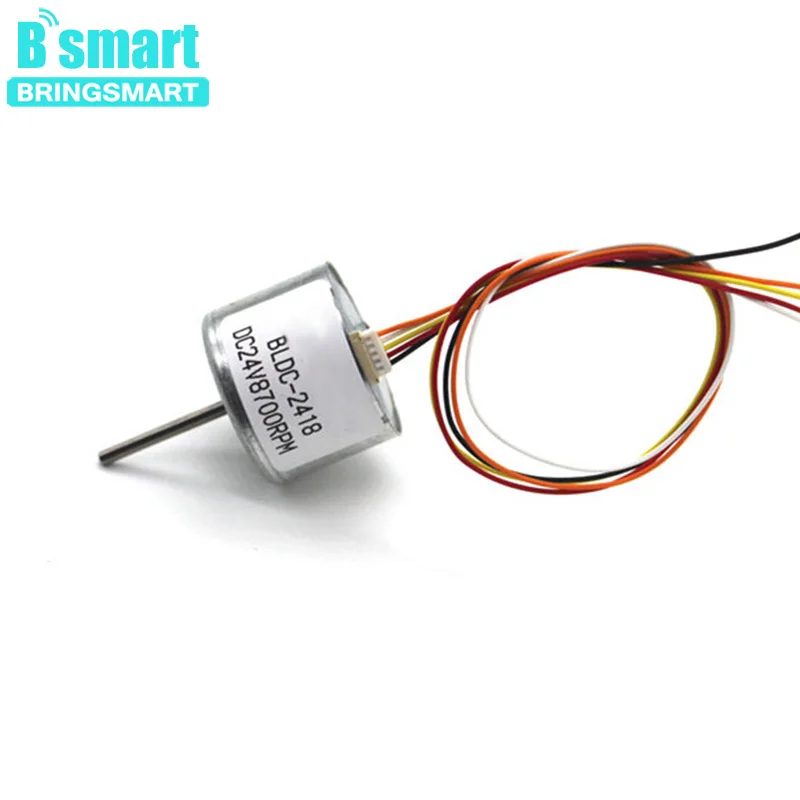 

Bringsmart R2418 BLDC Electric Motor 12-24 DC Motor 24V 8700RPM Motor CW/CCW Control Micro Brushless Motor For DIY Part