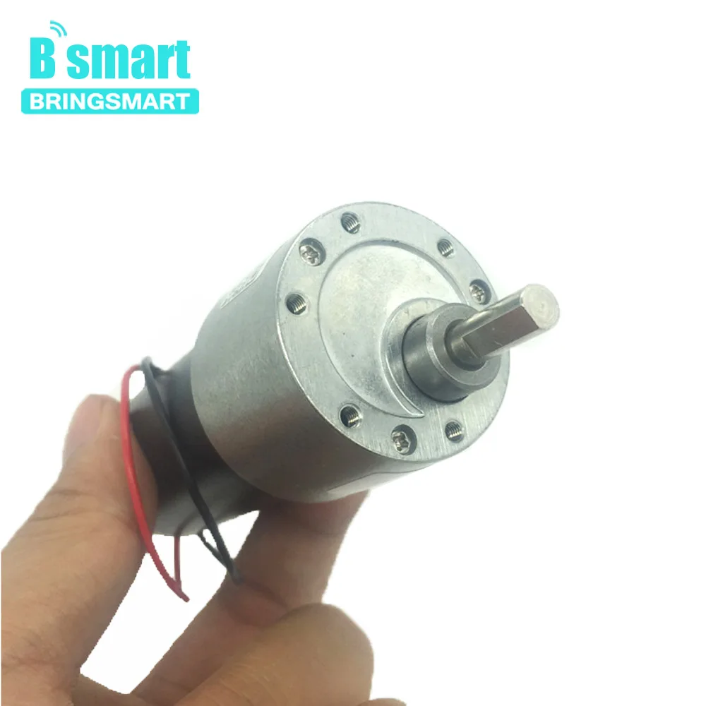 

Bringsmart DC Gear Mini Motor 12V 24V High Torque Permanent Magnet Electric Motor Reducer Metal Engine 37GB31Y