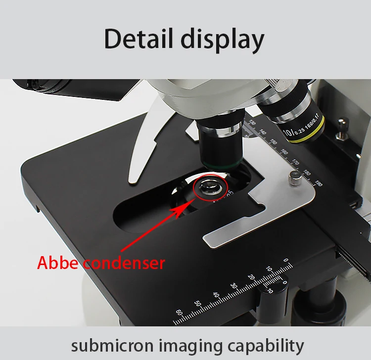 stereoscopic microscope (1)