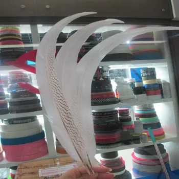 

Free shipping 10pcs/lot White color pheasant silver feather 20-22 inches / 50-55 cm silver white chicken tail Feathers