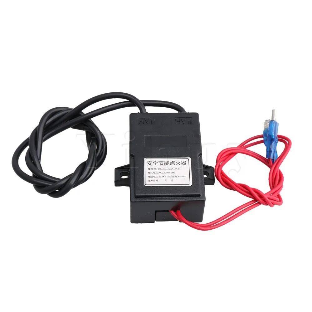 

CNBTR 12KV High Voltage Generator AC220V Electronic Controlled Fuel Injection Black