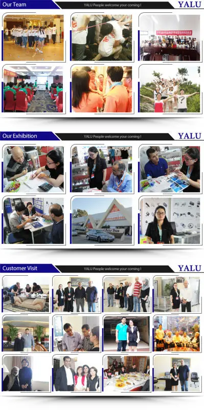 0 (7)team exhibition customer visit