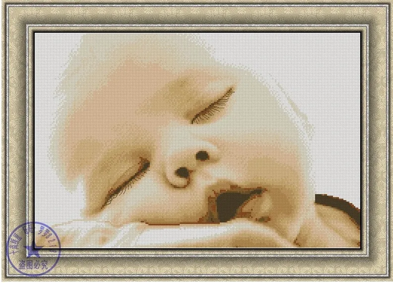 CS-1635 Cross Stitch Kit Baby Sleeping Sleep Dream Infant Child