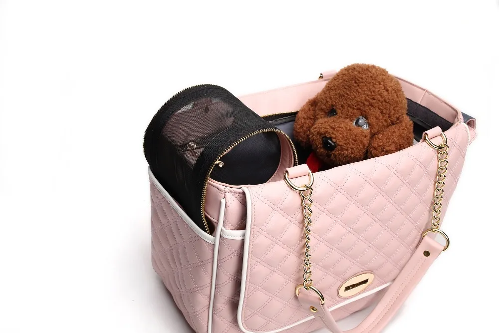 HTB1XK68PpXXXXccXFXXq6xXFXXXv